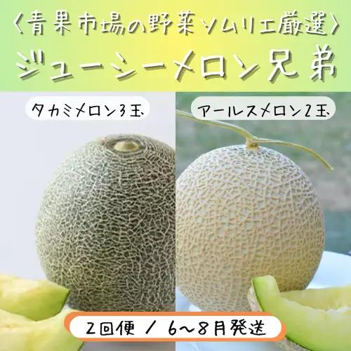 青果市場の野菜ソムリエ厳選 ジューシー メロン 2兄弟 定期便 全2回