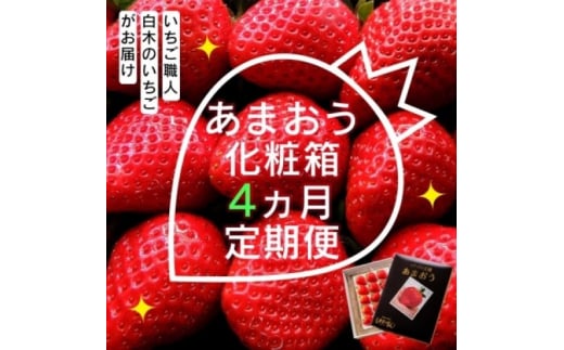 定期便 4ヶ月 いちご いちご職人 白木のいちご あまおう 化粧箱 1箱 4回 コース イチゴ 苺 果物 デザート お楽しみ ※配送不可：沖縄・離島・北海道・東北