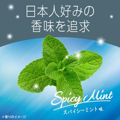 ふるさと納税 赤穂市 【最短当日発送】モンダミン スパイシーミント1000mL  1セット(3本:1本×3) |  | 02