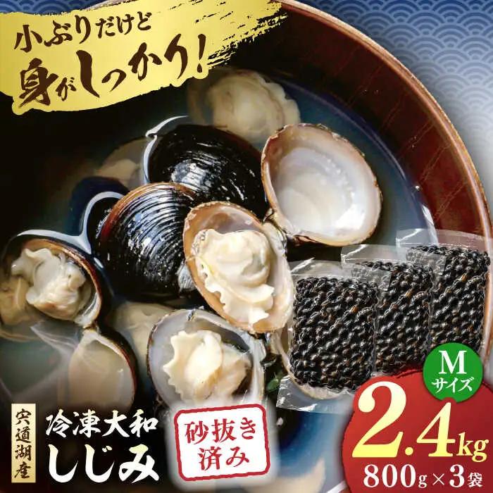 しじみ 宍道湖産 冷凍大和しじみ 砂抜き済 Mサイズ800g×3袋(2.4kg) 島根県松江市/しじみ市場株式会社[ALDK002] しじみ しじみ