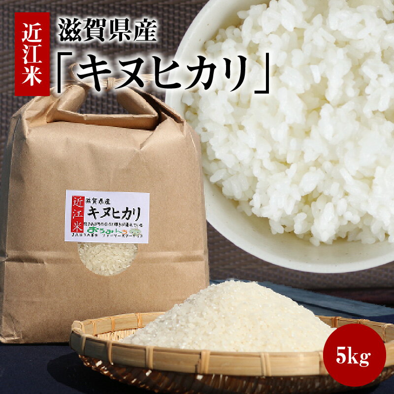 【ふるさと納税】令和7年度産 近江米「キヌヒカリ」 5kg