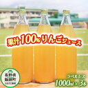 【ふるさと納税】 りんごジュース 果汁100% ( ラベル無し ) 1000ml × 3本 沖縄県への配送不可 長野県 飯綱町 〔 飲料 果汁飲料 りんご リンゴ 林檎 ジュース ラベルレス 信州 10500円 〕