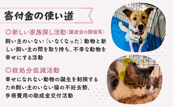 日本動物愛護協会殺処分低減活動への寄附【犬猫殺処分ゼロ】（返礼品なし）【MRI-AiD】【寄付額：3万円】【pr-0902-6】