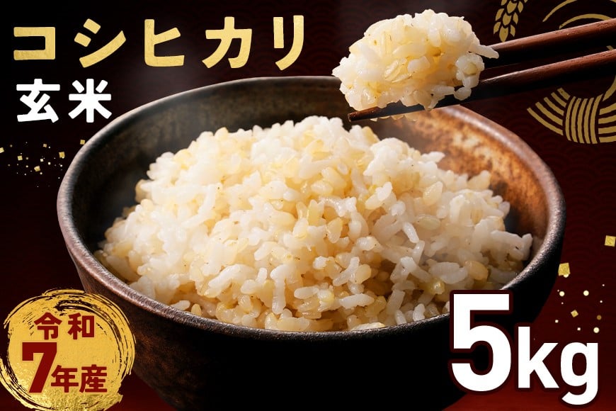 
            玄米 コシヒカリ 5kg 令和7年産 米 お米 コメ こしひかり ご飯 ごはん げんまい  国産 おにぎり 弁当 5キロ R7年産 小西農産 笠間市 かさま 茨城県 いばらき 
          