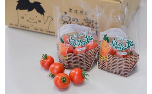 347.鬼のとまと◇　※2025年6月上旬～10月下旬頃に順次発送予定 313726_AX001-P