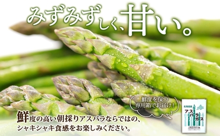 北海道産 グリーン アスパラガス 約1kg 2L アスパラガス アスパラ 旬 朝採り 野菜 新鮮 野菜 お取り寄せ 産地直送 産直 野菜 農作物 詰め合わせ アスパラ 国産 野菜 しりべしや ニセコフ