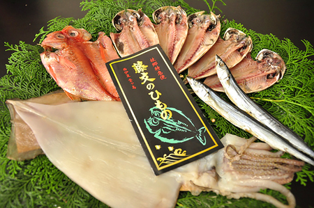 干物【藤文】西風ひものセット 干物