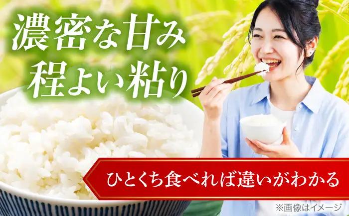 お米 白王(HAKUO) 2kg お米 BLAZ001