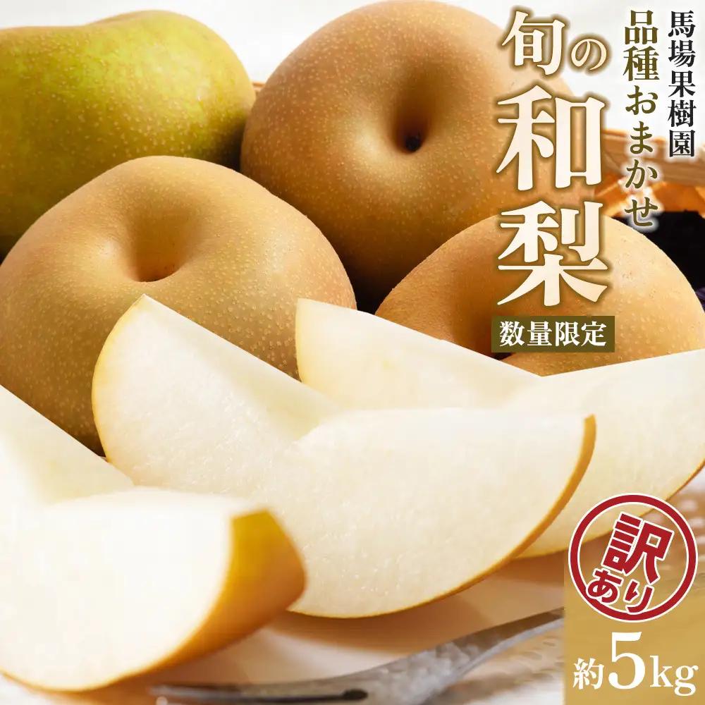 【2026年発送／訳あり】 梨 約5kg 品種おまかせ 馬場果樹園 ｜ 梨