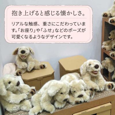 ふるさと納税 糸島市 「パトラン」(重たいぬいぐるみ)《糸島》【科学工房未來】[AYI001] |  | 01