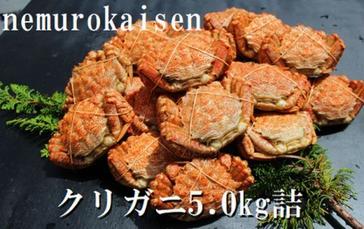 
            D-57031 【北海道根室産】クリガニ200～250g×20～25尾(計5.0kg)
          