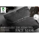 【ふるさと納税】THE STEM CELL　FACE MASK 3袋90枚 | 美容 スキンケア 肌ケア パック フェイスマスク フェイスパック 顔パック シートマスク シートパック 美容パック 美容マスク エイジングケア 保湿 人気 おすすめ 送料無料