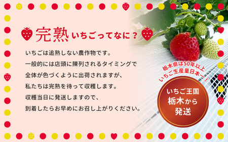 阿部梨園の完熟とちあいか（ふぞろい）　※離島への配送不可　※2024年12月上旬～2025年5月中旬頃に順次発送予定
