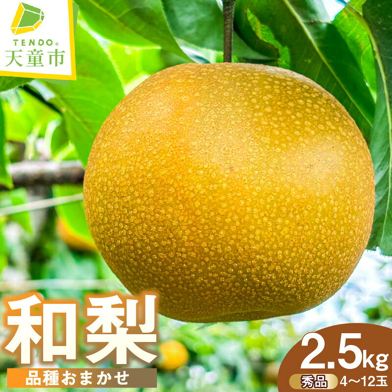 【ふるさと納税】 和梨 2.5kg 品種おまかせ 令和8年産 先行予約 2026年 梨 なし ナシ 果物 くだもの フルーツ 愛甘水 幸水 豊水 あきづき 南水 山形 お取り寄せ 産地直送 送料無料【 山形県 天童市 】
