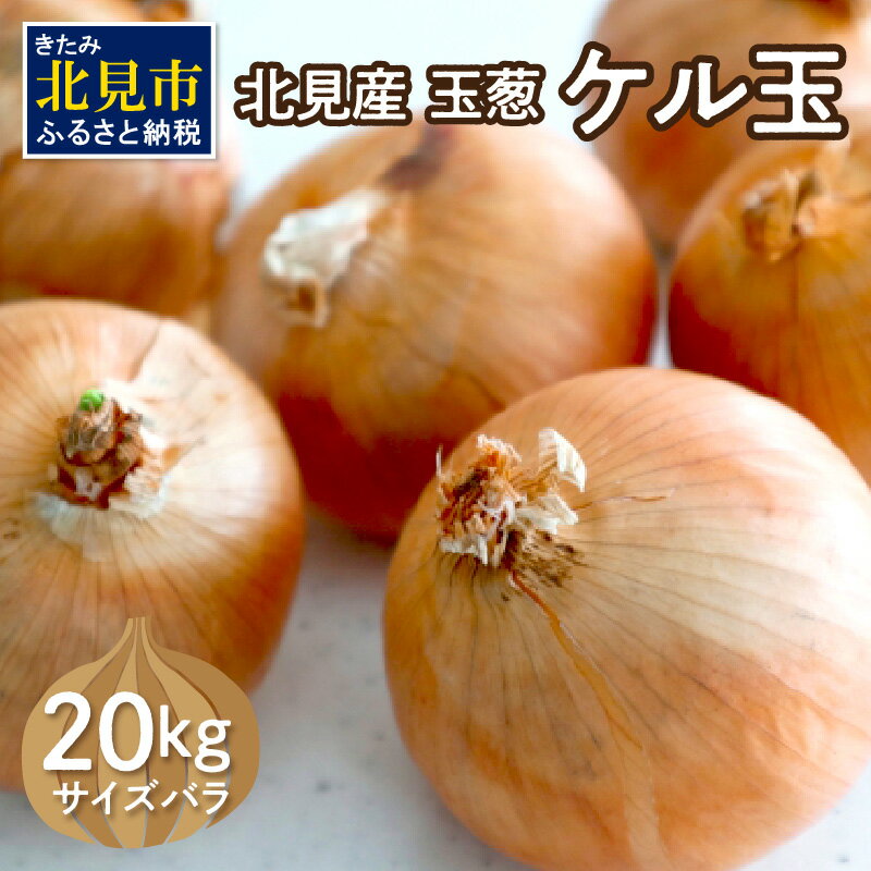 【ふるさと納税】【予約：2025年11月から順次発送】北見産玉ねぎ ケル玉 20kg ( 機能性玉葱 サイズバラ 玉ねぎ たまねぎ タマネギ 玉葱 オニオン ケル玉 野菜 北海道 長期貯蔵 )