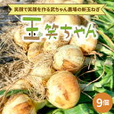 【ふるさと納税】新玉ねぎ 玉笑ちゃん 9個 玉ねぎ 玉葱 タマネギ オニオン 常備野菜 保存野菜 オニオンスープ 碧南市 産地直送 送料無料