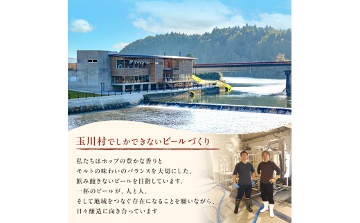 クラフトビールおまかせ6本セット(350ml缶)｜あぶくまビール 福島県玉川村 FT18-278							