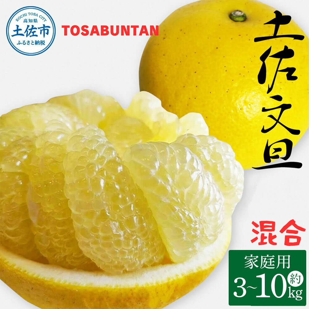 【ふるさと納税】＜2026年1月下旬より順次発送＞土佐文旦 家庭用 3~10kg L~3Lサイズ混合 先行予約 文旦 ぶんたん ブンタン 柑橘 フルーツ デザート 果物 ご当地 人気 名産 お取り寄せ 土佐 高知 土佐市 送料無料 ふるさと納税 ふるさとのうぜい 故郷納税 高知県 7000円～