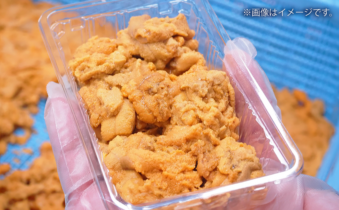 【冷凍】壱岐産うに丼　40g×7食　《壱岐市》　【一支國屋】 [JCC029]