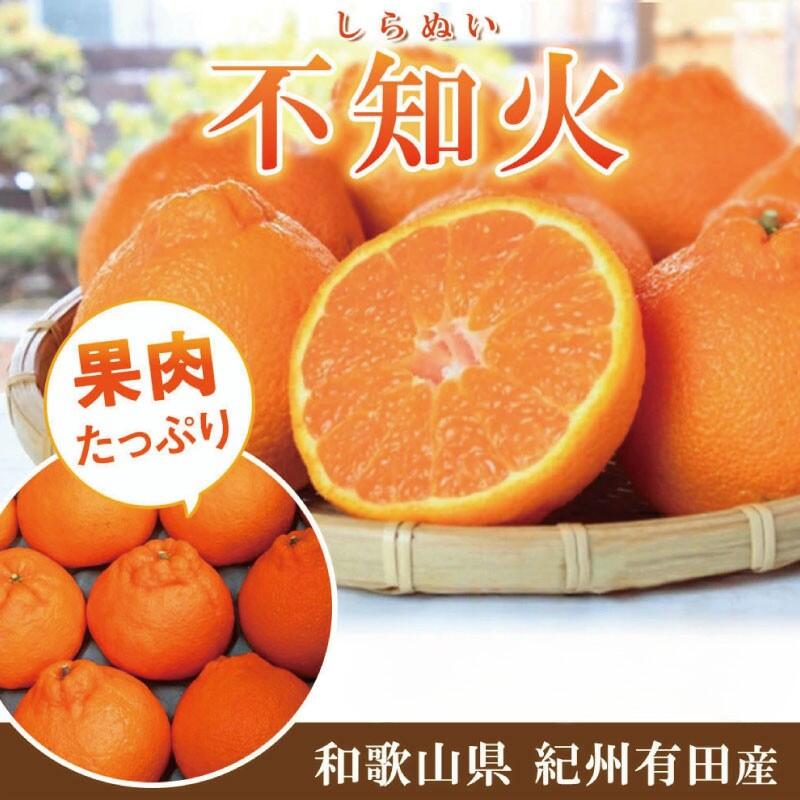 【ふるさと納税】紀州有田産不知火(しらぬい) 2.5kg〜5kg【UT61】 | フルーツ 果物 くだもの 食品 人気 おすすめ 送料無料