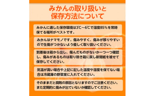 【ご家庭用】和歌山有田みかん約10kg(SS、Sサイズ)【美浜町】※2025年11月上旬～2026年1月下旬頃に順次発送予定