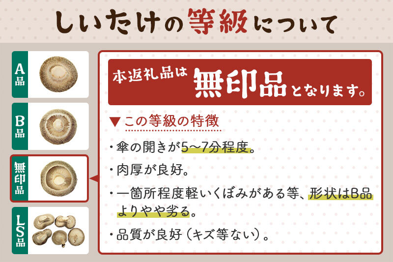 しいたけ 無印品 6M（約100g）×30パック [椎茸 しいたけ シイタケ きのこ]