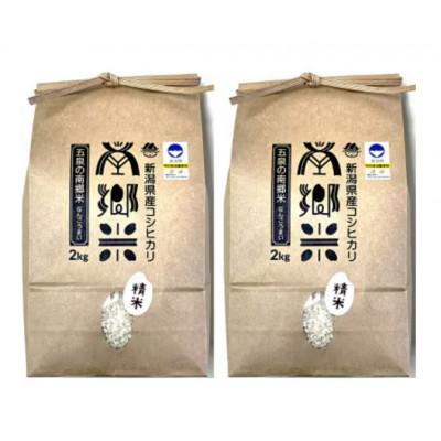 ふるさと納税 五泉市 【毎月定期便】特別栽培米コシヒカリ100%「南郷米」精米 4kg(2kg×2袋)全12回 |  | 01