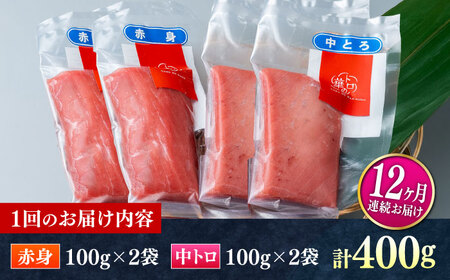 【全12回定期便】対馬産 本マグロ 400g（赤身200g、中トロ200g） ≪対馬市≫【桐谷商店】 トロの華 対馬 新鮮 マグロ 赤身 トロ 鮪 刺身[WAQ066]