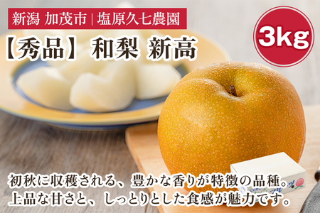 【2025年先行予約】新潟県産 和梨 新高 3kg 【秀品】《10月上旬から順次出荷》 にいたか なし 果物 フルーツ デザート ジューシー シャキシャキ 加茂市 塩原久七農園