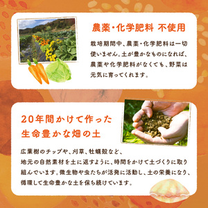 自然栽培じゃがいも2.5㎏｜芋