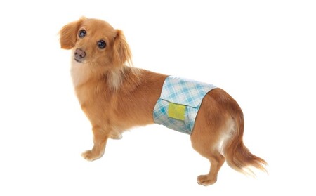 マナー おむつ おしっこ用 大型犬 20枚×2袋 ※配送不可：離島 雑貨 日用品 ペット用品 防災 防災グッズ 