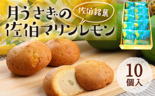 月うさぎの佐伯マリンレモン (計10個) レモン レモンケーキ スイーツ スウィーツ 菓子 焼き菓子 洋菓子 おやつ セット 個装 常温 大分県 佐伯市【ER002】【(株)古川製菓】