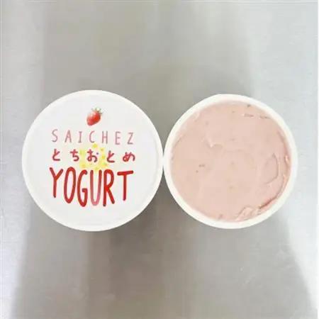 フローズンヨーグルト〈定番3種類・ビターアダルトコーヒー3・とちおとめ2〉アイス　シャーベット_菓子・スイーツ アイス・ジェラート  _【配送不可地域：離島】【1402444】