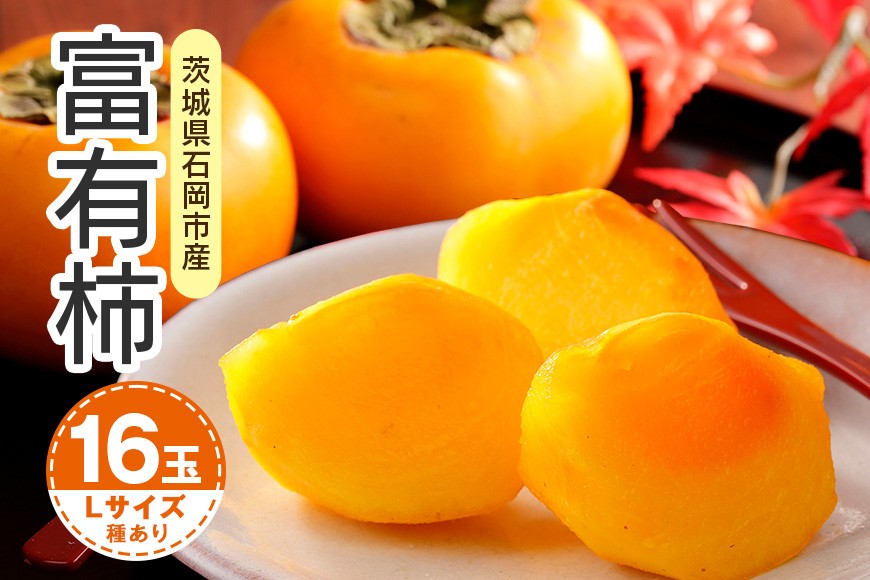 
                  【2026年先行予約】富有柿 L 16玉（鈴木柿園） 柿 甘い柿 かき 富有カキ 甘い 果物 フルーツ くだもの カキ 富有かき 秋 旬 甘柿 糖度 贈答用 贈答品 ギフト 贈り物 品種 ブランド 11月 12月 発送 産地直送 農家直送 産直 茨城県 石岡市 (A08-001)
                