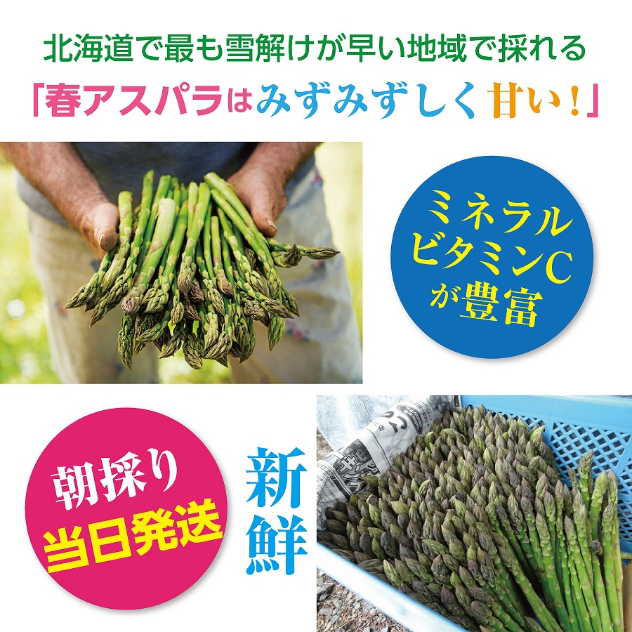 【2026年春発送】北海道上ノ国町産 刀祢農園の春アスパラ　M～L（1.8㎏） 北海道産　朝採れ　農家町送　グリーンアスパラ　春野菜　アスパラ　甘い　特産品