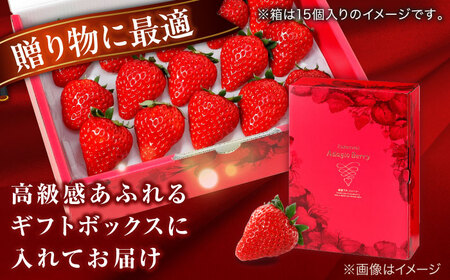 島根県松江市「のつ農園」　完熟いちご「福富アダージョベリー」　12個入り 島根県松江市/山陰中央テレビジョン放送株式会社[ALFI003]
