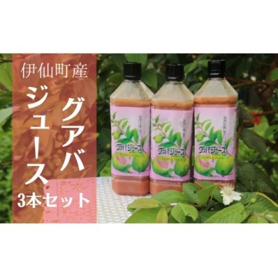 
                  グァバ生ジュース　3本セット
                