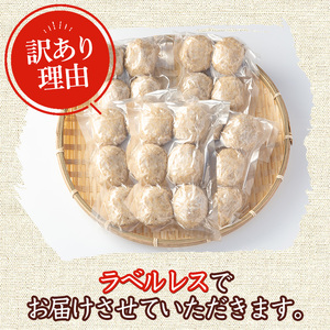 y454-R711 《訳あり！先行予約！2025年11月以降順次発送》発芽玄米餅 計30個(プレーン6個×5袋) ラベルレス！栽培期間中農薬・化学肥料不使用の自家製もち玄米をお餅に！ お餅 餅 おもち