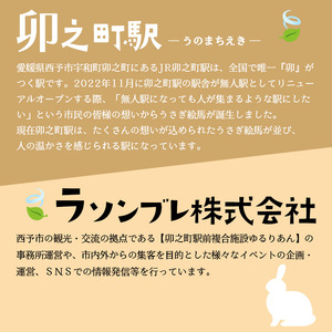 うさぎ絵馬のうさぎセット URB0005