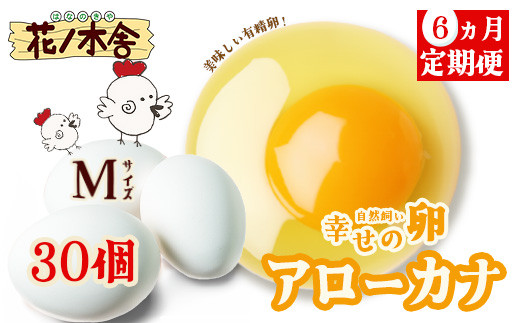 【6か月定期便】自然飼い　幸せの卵　アローカナ　30個　【04209-0236】