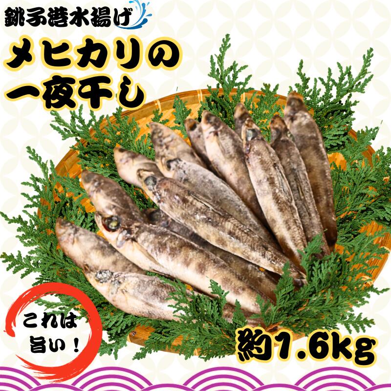 【ふるさと納税】 メヒカリ一夜干し 60尾 約1.6kg 銚子港水揚げ 冷凍 めひかり 目光 バラ凍結 無添加 干物 白身魚 焼魚 名物 ひもの 魚 魚介類 天ぷら 唐揚げ 海鮮 新鮮 グルメ お取り寄せ 贈り物 人気 おかず おつまみ 酒の肴 朝食 夕食 送料無料 千葉県 銚子市 シバショウ