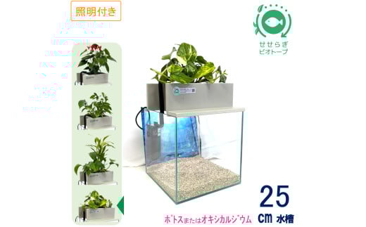 せせらぎビオトープ　25cm型基本+照明セット（ポトスorオキシカルジウム）