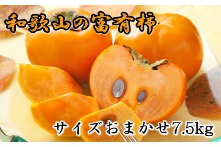 【甘柿の王様】和歌山産富有柿約7.5kgサイズおまかせ※2024年11月上旬～2024年12月上旬頃に順次発送【tec400A】