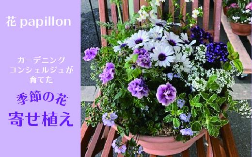 カーデニングコンシェルジュが育てた季節の花 寄せ植え[高島屋選定品］京都・南丹市八木町　021N345