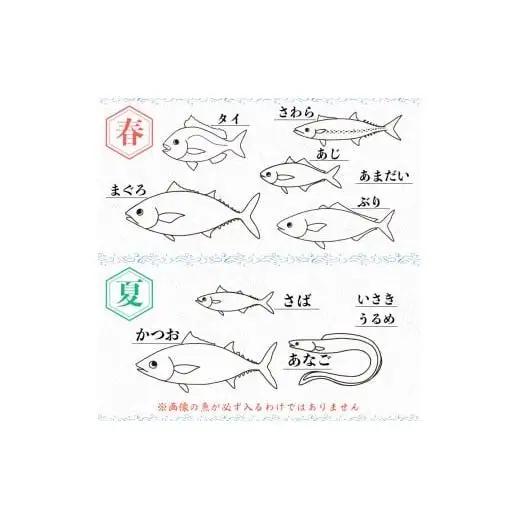 【 地魚 】 地魚3から4種