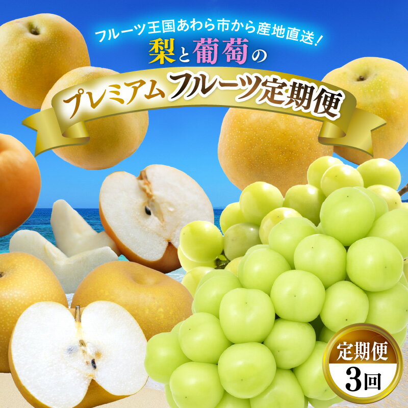 【ふるさと納税】《先行予約》福井県産 フルーツ 定期便 3回（幸水梨 シャイン マスカット 新興梨）果物 大玉 梨 ブドウ 大粒 種無し 皮ごと 新鮮 朝どれ もぎたて 美味しい 樹上 完熟 プレミアム お取り寄せ ※2025年8月中旬頃より順次発送