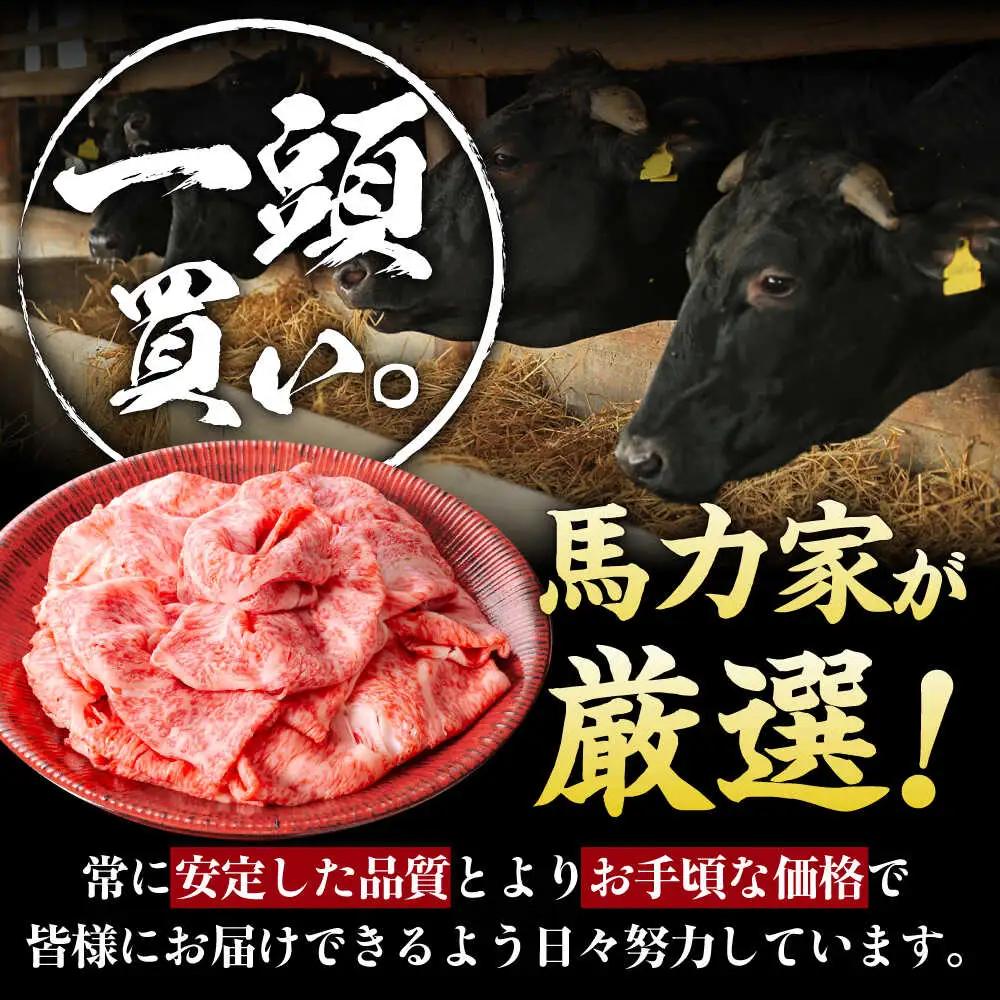【12回定期便】飛騨牛サーロイン・リブロース 800g(400g×2パック) すき焼きしゃぶしゃぶ用肉 [AVBO026]