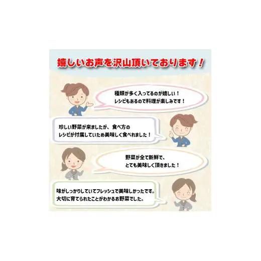【早期予約】 野菜定期便 6ヶ月 7 ～ 10 品