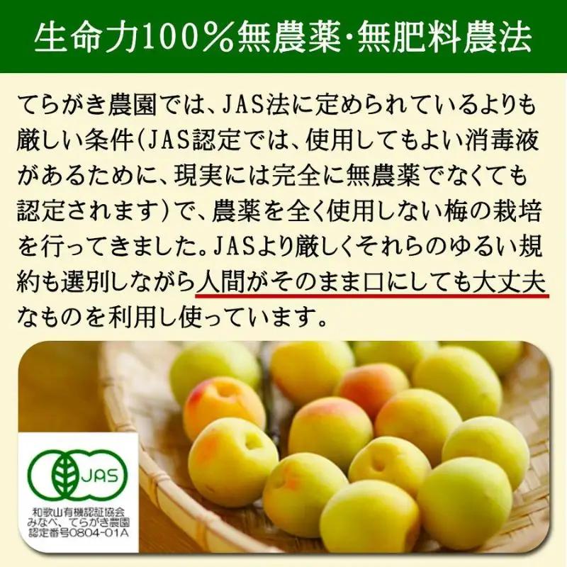 農薬を使用していない南高梅　trgk003B【trgk003B】