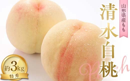 【令和7年産先行予約】 もも「清水白桃」 約3kg (8～10玉 特秀) 《令和7年8月中旬～発送》 『NOWAフルーツ』 モモ 果物 フルーツ デザート 山形南陽産 山形県 南陽市 [2246]